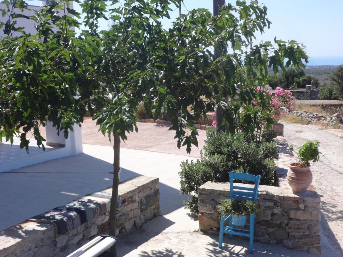 Theros House Agios Ilias  Екстер'єр фото