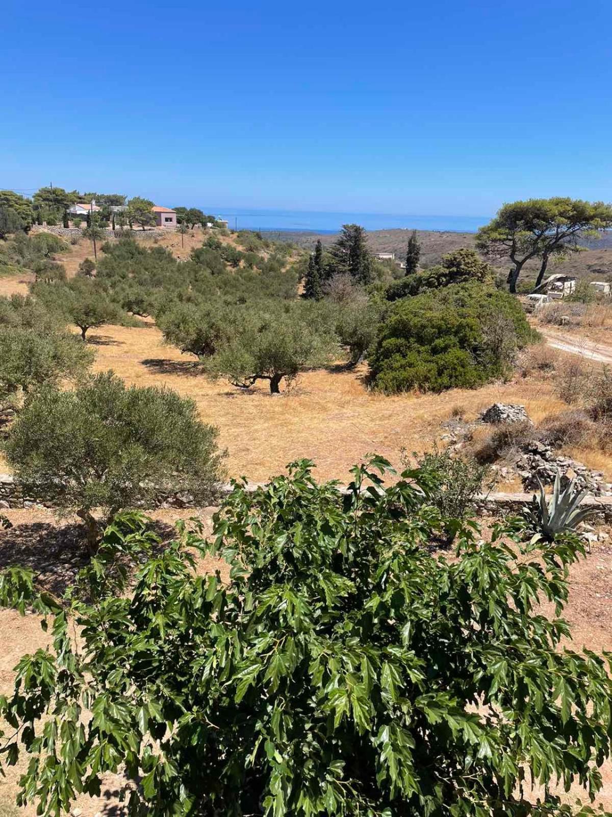 Theros House Agios Ilias  Екстер'єр фото